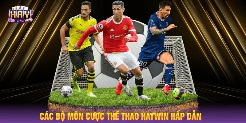 Các bộ môn cá cược thể thao tại sân chơi HAYWIN rất đa dạng. 