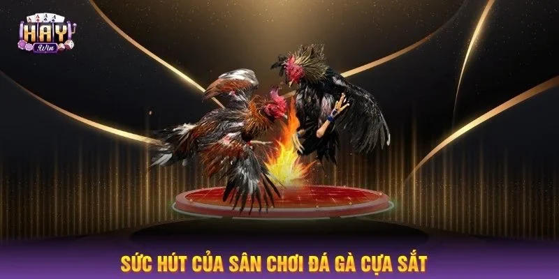 Có nhiều lý do tạo nên sức hút của kèo cược chọi gà cựa sắt.
