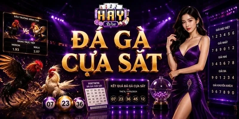 Đá Gà Cựa Sắt HAYWIN: Kèo Cược Xanh Chín Cực Thú Vị 