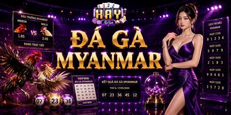 Đá Gà Myanmar Có Gì Đặc Sắc? 4+ Kèo Chơi Không Thể Bỏ Lỡ