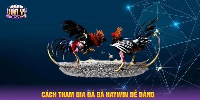 Để tham gia cá cược đá gà HAYWIN, người chơi chỉ cần thực hiện theo 03 bước đơn giản.