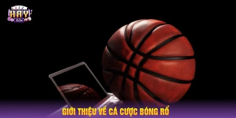 Cá cược bóng rổ ngày càng được yêu thích tại sân chơi HAYWIN.