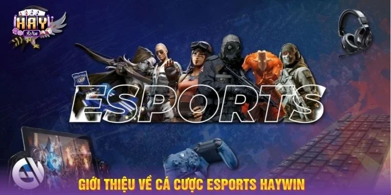 Đôi nét giới thiệu về sân chơi Esports HAYWIN.