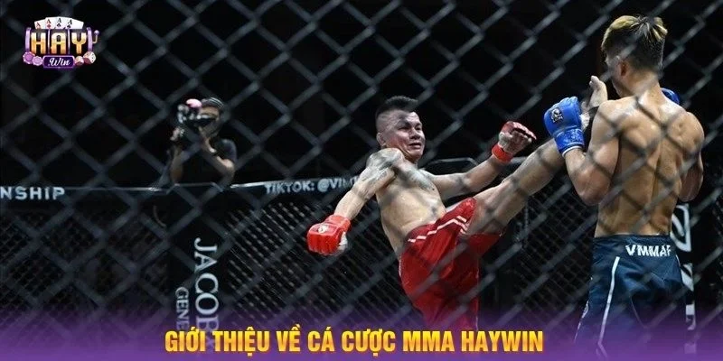 Cá cược Võ quyền anh tại HAYWIN luôn rất kịch tính, cuốn hút.