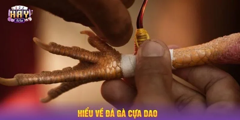Hiểu đá gà cựa dao là gì giúp bạn có chiến thuật phù hợp.