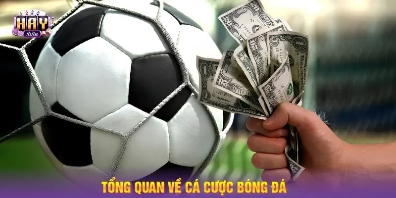 Khái quát cơ bản về cá cược bóng đá tại HAYWIN.