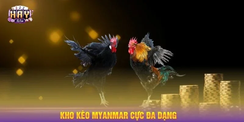 Kho kèo đá gà Myanmar cực hấp dẫn tại HAYWIN.