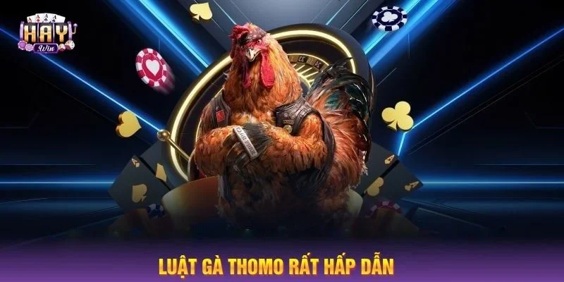 Thomo đặc trưng bởi thể lệ cược là sự ngẫu nhiên giữa cặp gà