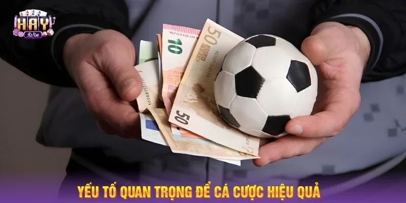Nắm vững yếu tố cơ bản bạn sẽ thành công từ giây phút đầu tiên.