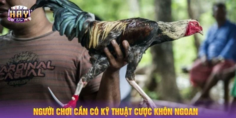 Nghiên cứu những thông số liên quan để dự đoán chính xác.