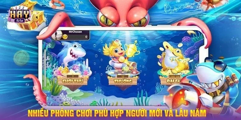 Nhiều phòng chơi phù hợp người mới và lâu năm