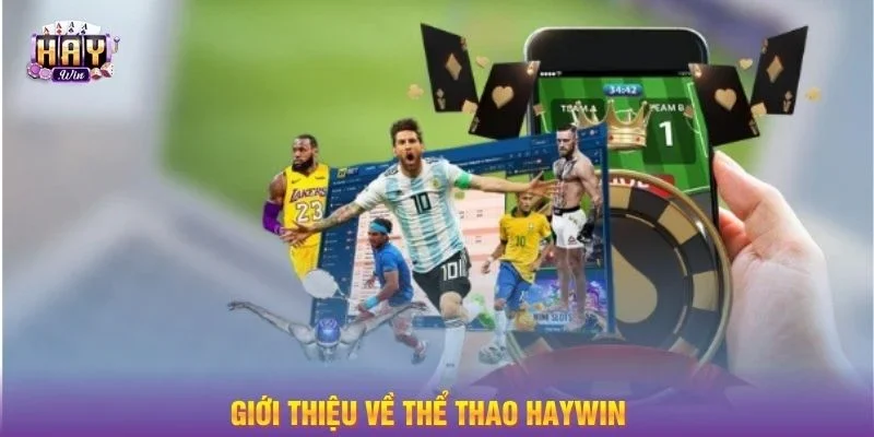 Sảnh cược thể thao HAYWIN được đánh giá là sân chơi đầy hấp dẫn và lôi cuốn. 