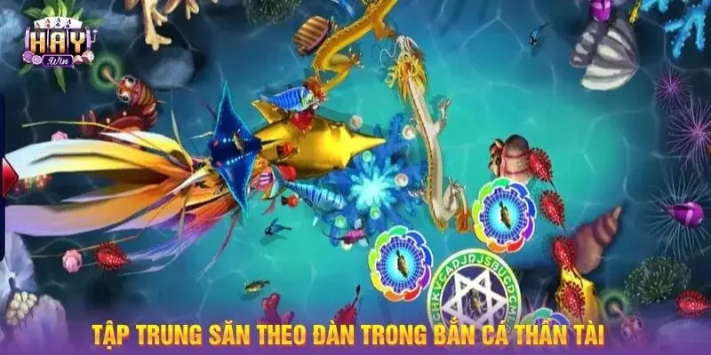 Tập trung săn theo đàn trong bắn cá