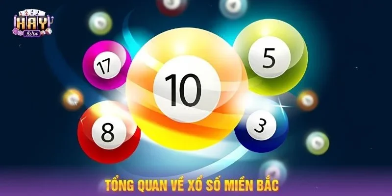 Thông tin thú vị về  xổ số miền Bắc tại sàn cược.