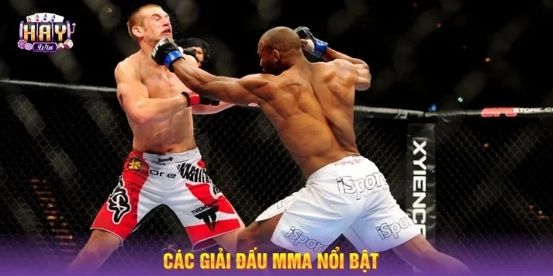 Tổng hợp các giải đấu MMA nổi bật nhất hành tinh.